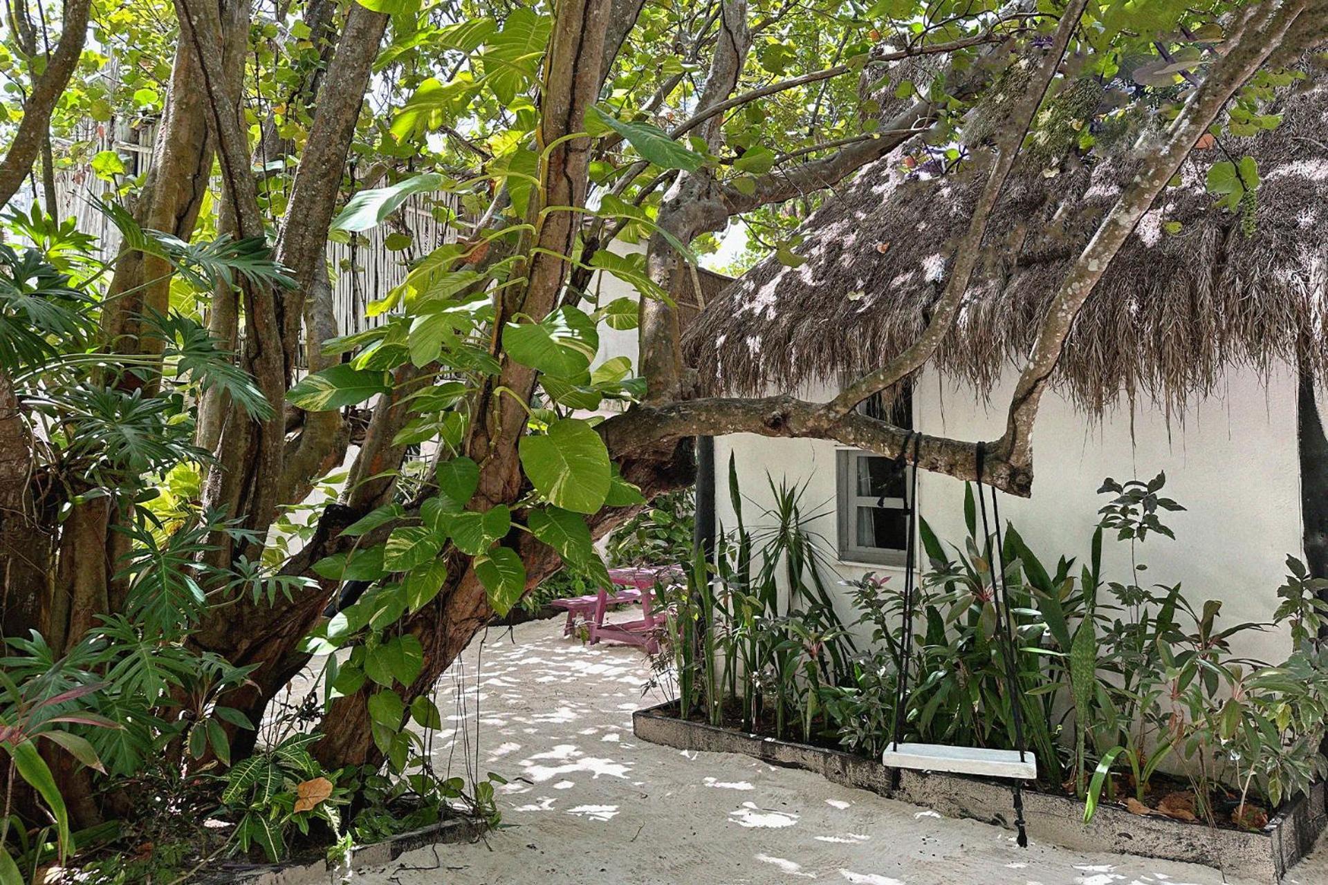 Coco Tulum Hotel Exterior photo